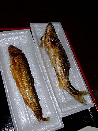 余一やなの鮎料理07