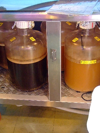 ビール造り体験教室118