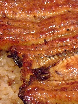 080714���ʤ�02