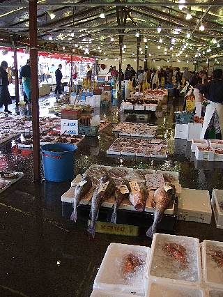 森田水産03