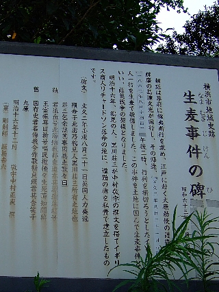 生麦02