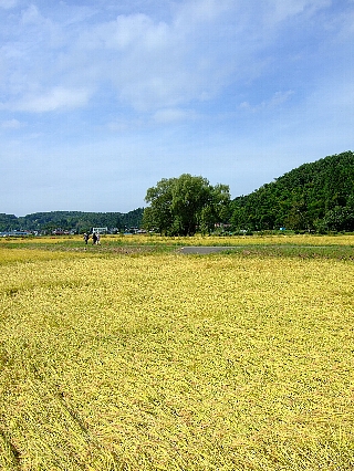 ネイチャーツアー02