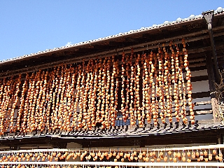 ������02