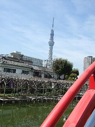 亀戸天神05