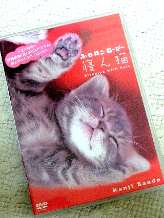 寝ん猫01