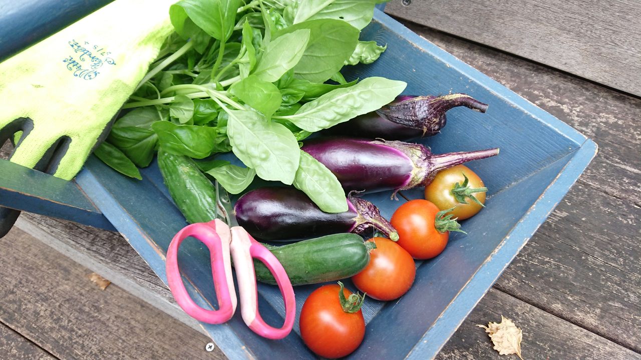 7月のお庭 夏野菜の収穫と ランの花 素敵なお庭の作り方 7月のお庭 夏野菜の収穫と ランの花 素敵なお庭の作り方