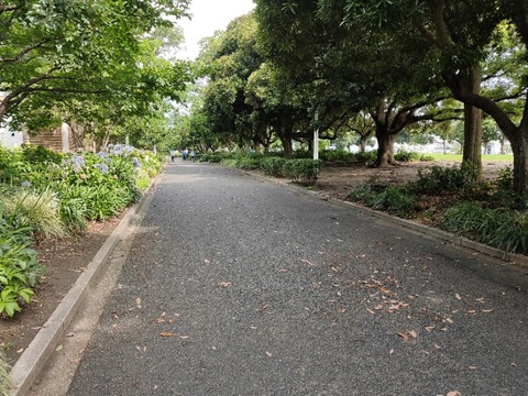 IMG20200712082931