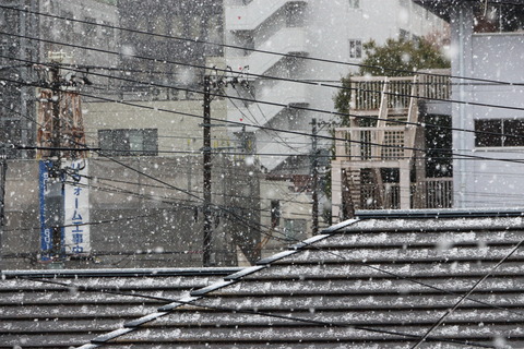 仙台・雪の朝
