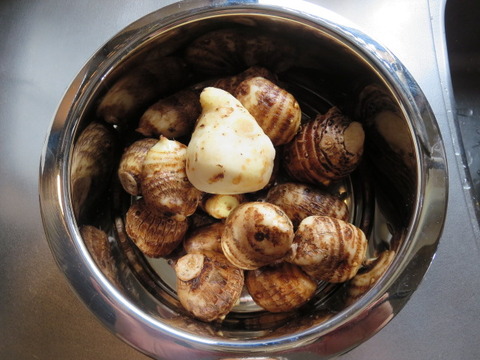 16年04月 絵と生活と 海王星