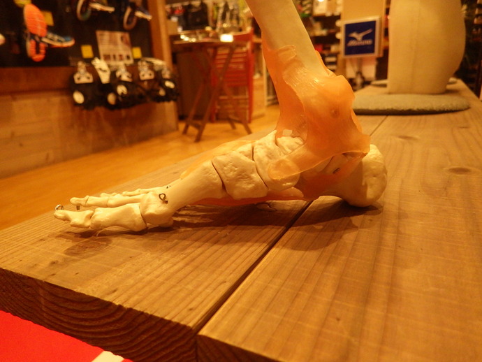 IMGP3356