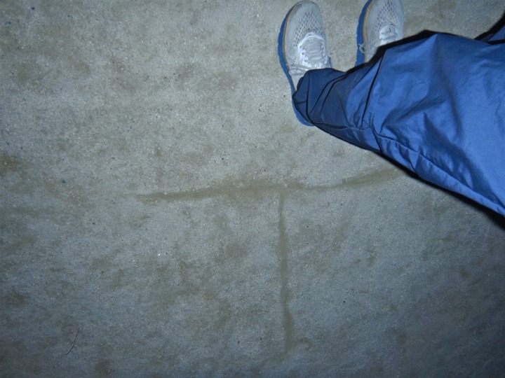 DSCN5011