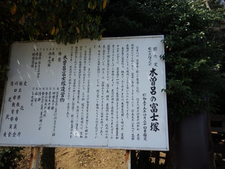 IMGP4177