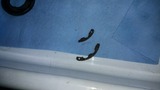 IMG_20220325_153451
