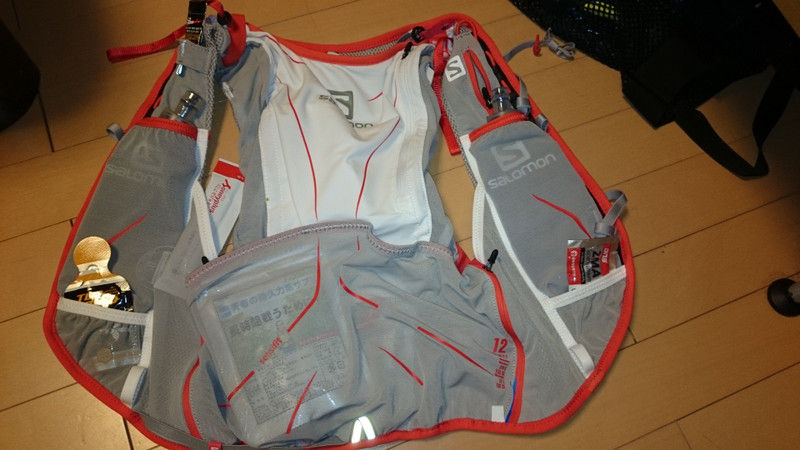 ここに来て背中がピキッといきました マラソンにハマッた