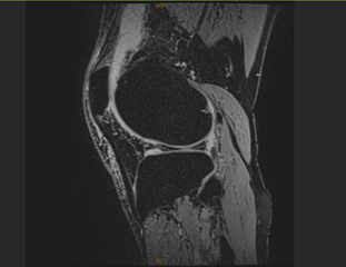 スクリーンショット 2025-06-08 082502