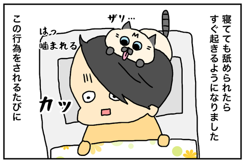 EB9134AE-108E-4630-9998-F774BB23C6EF