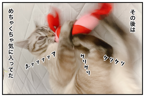 2B6F5E61-D783-4F51-9880-5590DC5B3453