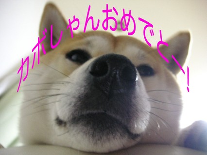 おめれとー