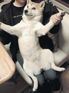 あたち知らなーい