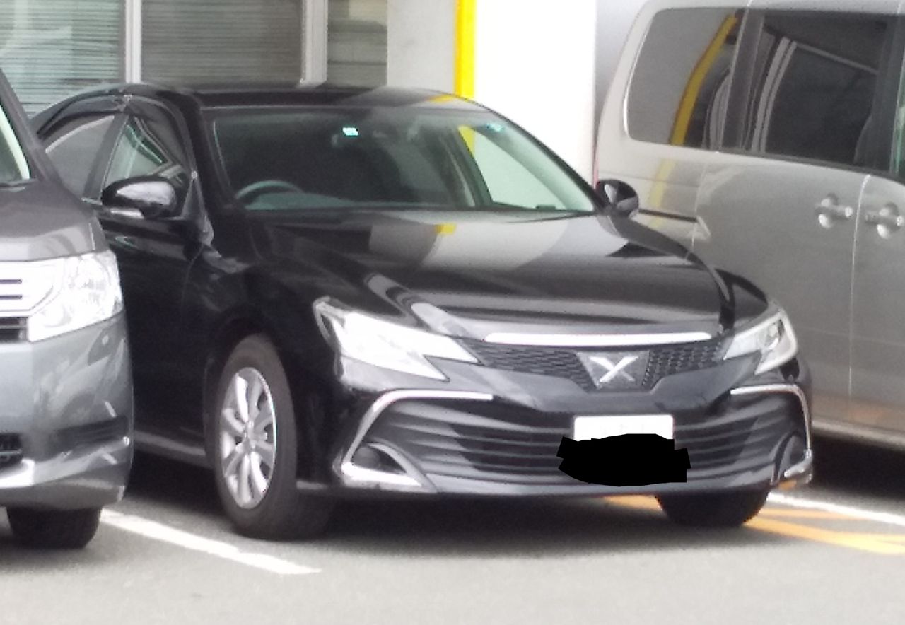 ｇ２０サミットまでに撮影 Sp W して来た警察車両 １人の広域機動捜査官