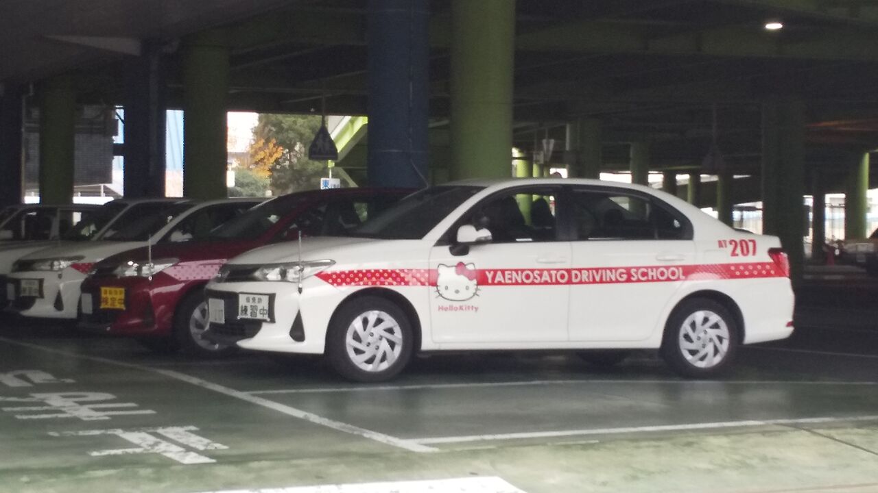 昔と比べたらカラーリングやイラスト入りで明るくなった教習車達 1人の広域機動捜査官 昔と比べたらカラーリングやイラスト入りで明るくなった教習車達 1人の広域機動捜査官