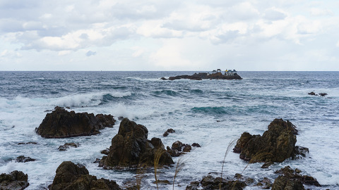 DSC00709
