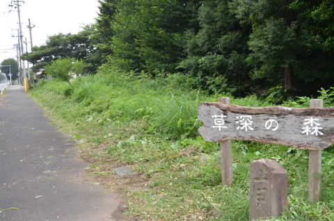 終了森と道路