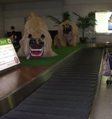 ���ƶ����λ��