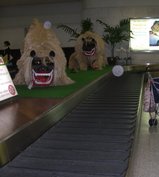 ���ƶ��� (7)���