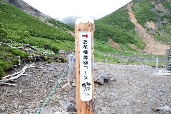 イメージ 8