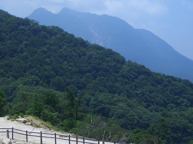 イメージ 7