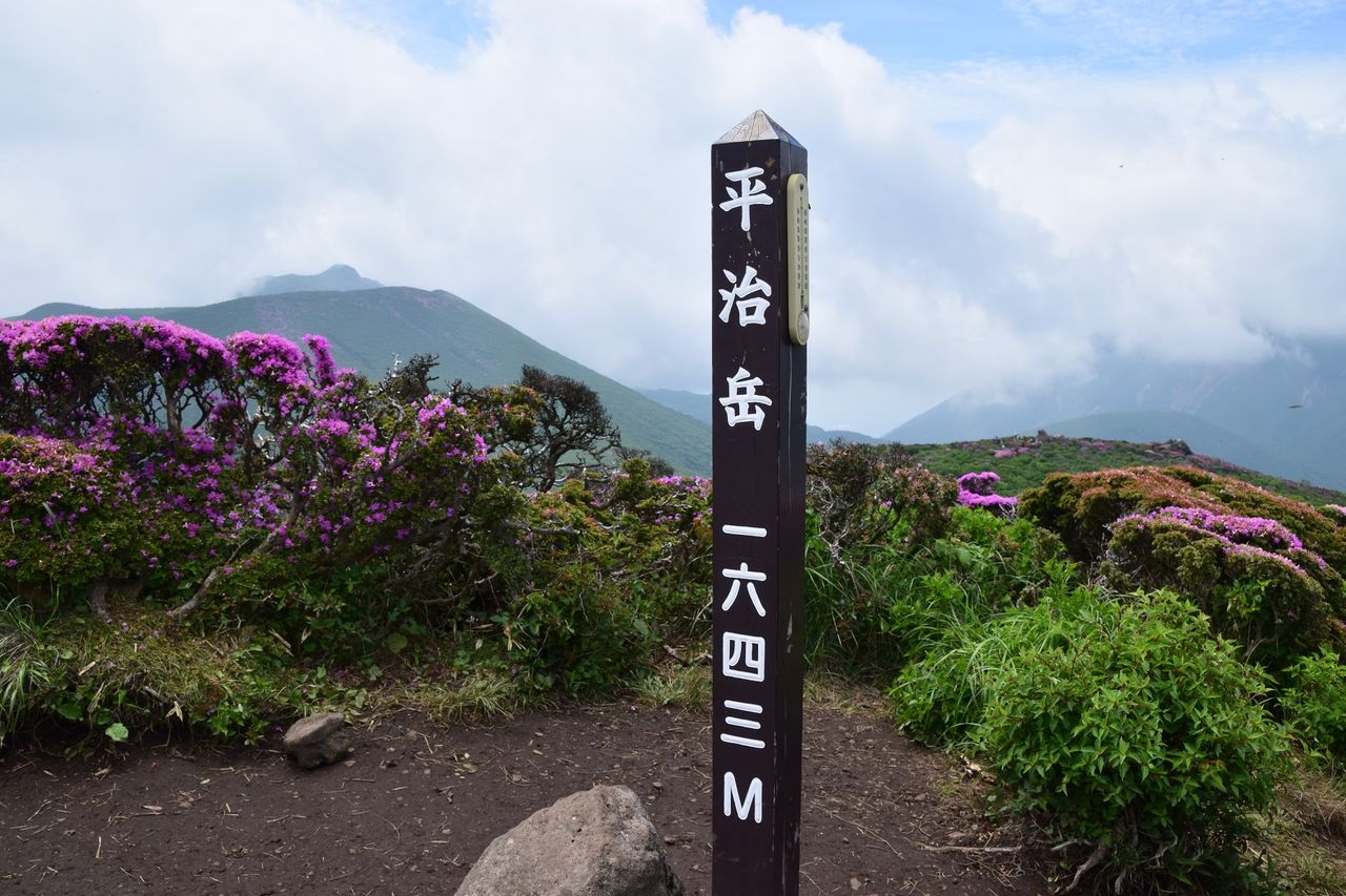 イメージ 10