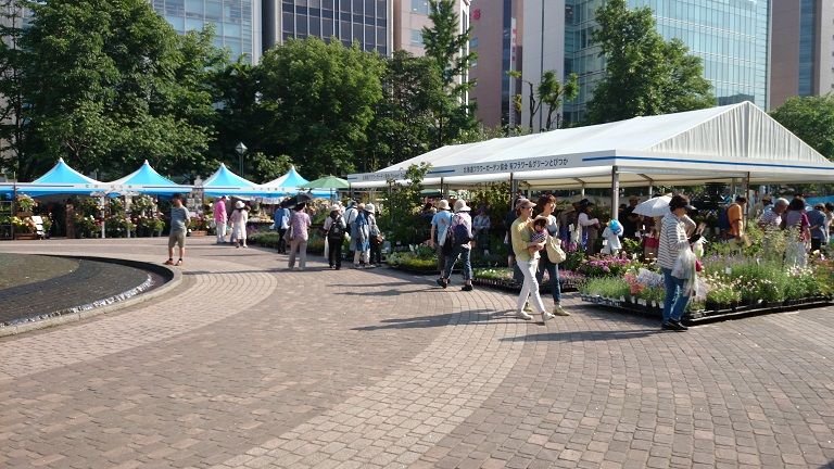 札幌 大通公園 花フェスタ 蜜柑色の夏休み 札幌 大通公園 花フェスタ 蜜柑色の夏休み