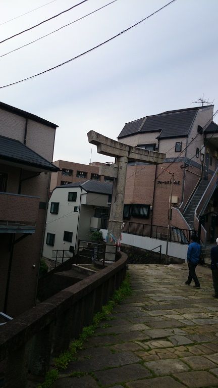山王神社のクスノキと一本足鳥居 蜜柑色の夏休み 山王神社のクスノキと一本足鳥居 蜜柑色の夏休み