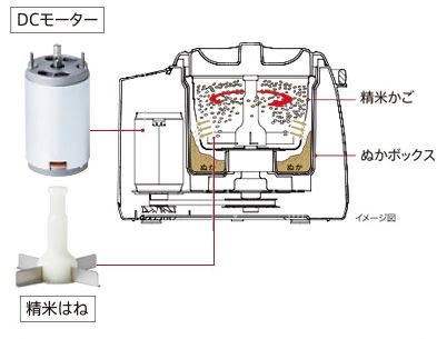 rsf_a_spec01