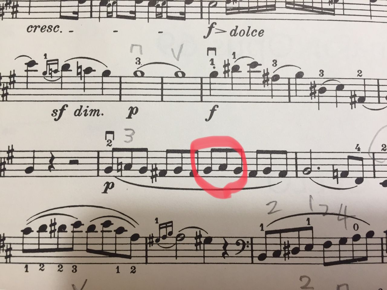 最高dim 音楽記号 最高のカラーリングのアイデア 最高dim 音楽記号 最高のカラーリングのアイデア
