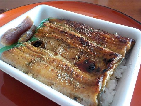 なかおの鰻弁当 帰ってきた 日々のあれこれ なかおの鰻弁当 帰ってきた 日々のあれこれ