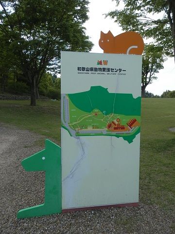 動物愛護センターと山の上のパン屋さん 和歌山県 おでかけワンコだにゃ 動物愛護センターと山の上のパン屋さん 和歌山県 おでかけワンコだにゃ