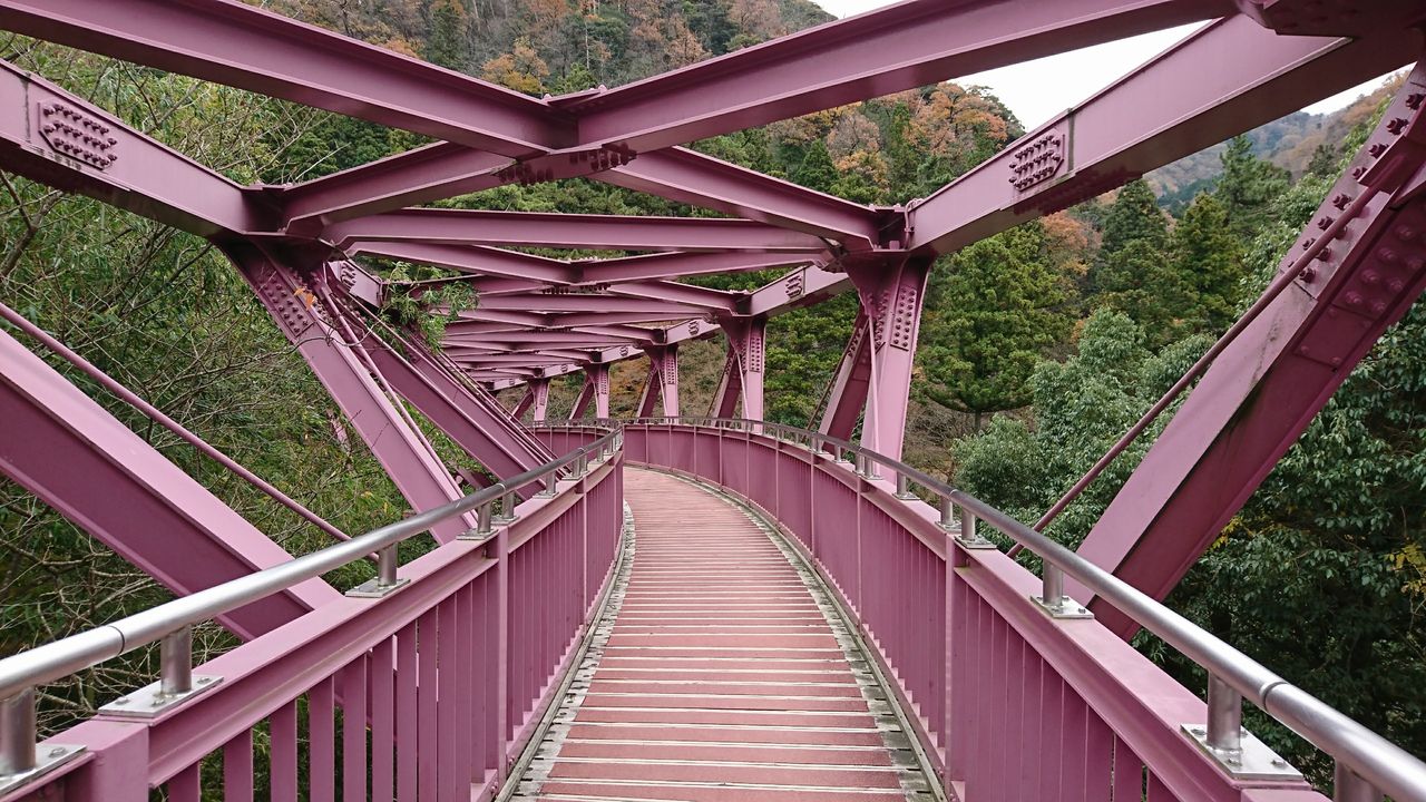 鶴仙渓をお散歩 あやとり橋からこおろぎ橋まで おでかけ日和 2 鶴仙渓をお散歩 あやとり橋からこおろぎ橋まで おでかけ日和 2