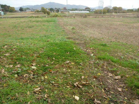 P1070829_R