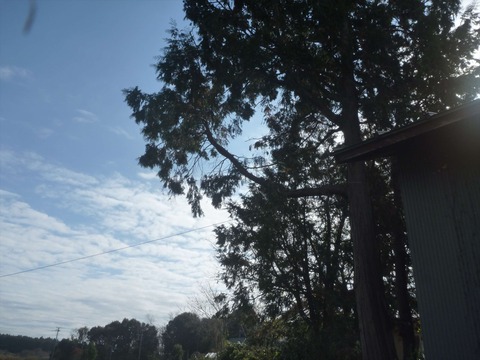 P1070907_R