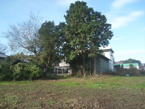 P1070905_R
