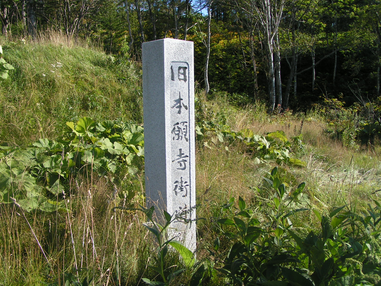 現在の本願寺道路 国道230号留寿都村泉川交差点舗装工事