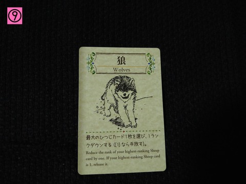 シェフィ ルール9