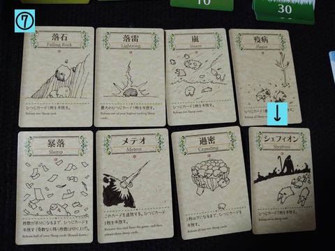 シェフィ ルール7