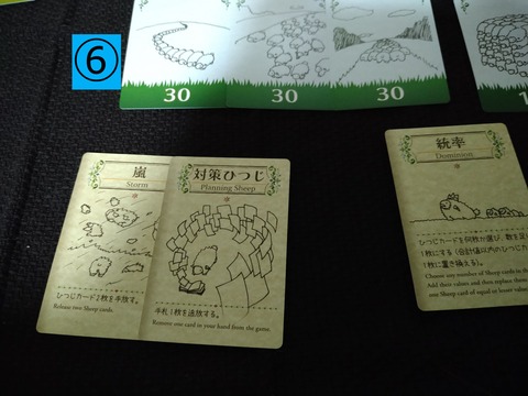 シェフィ6 (1)
