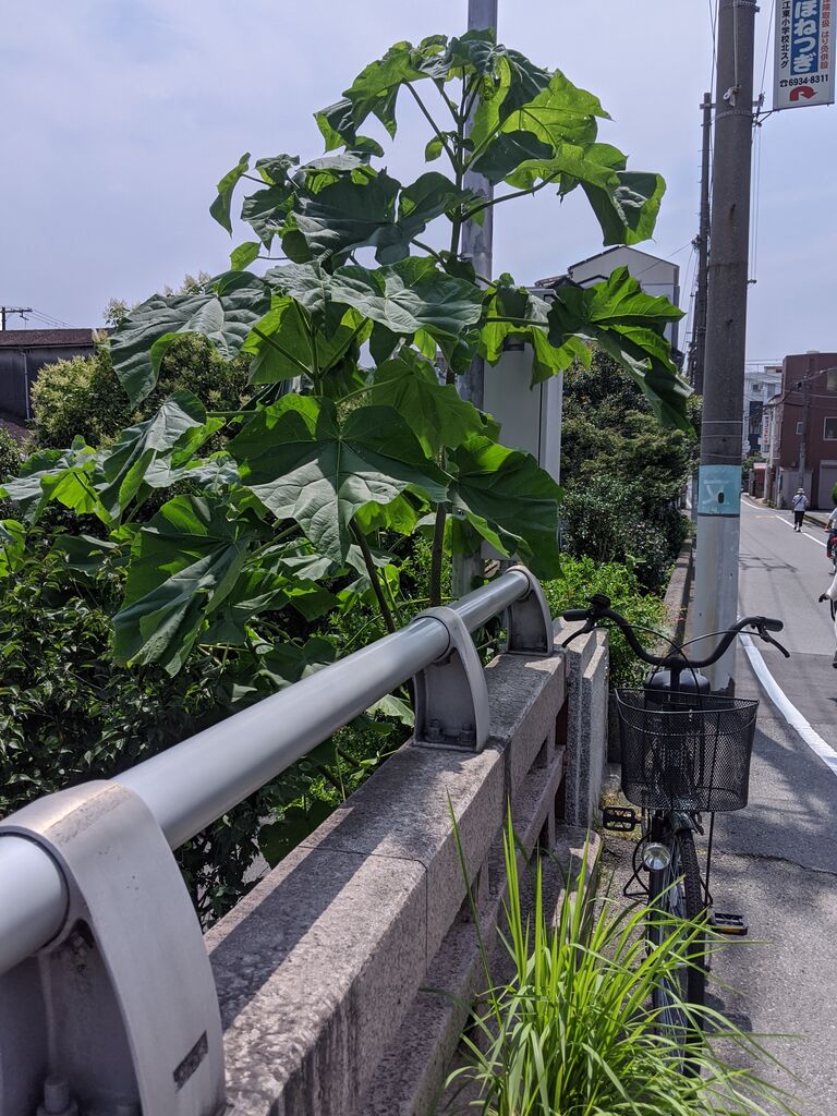 年07月09日 る印日記