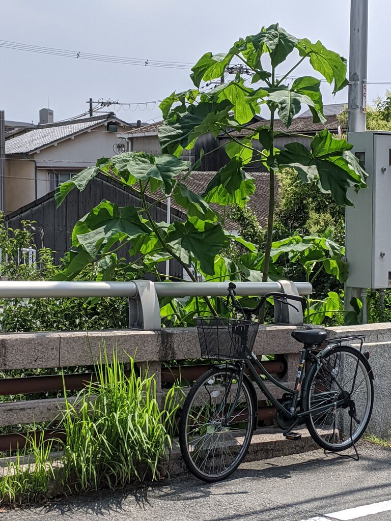 年07月09日 る印日記