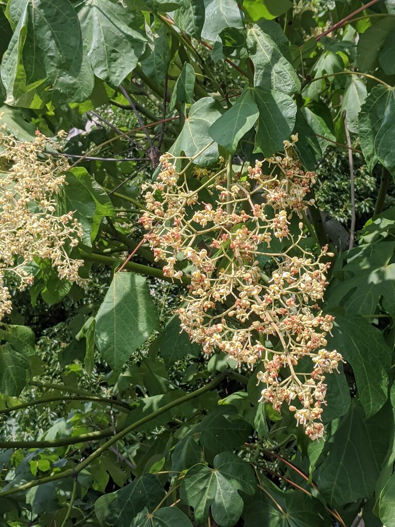 年07月09日 る印日記