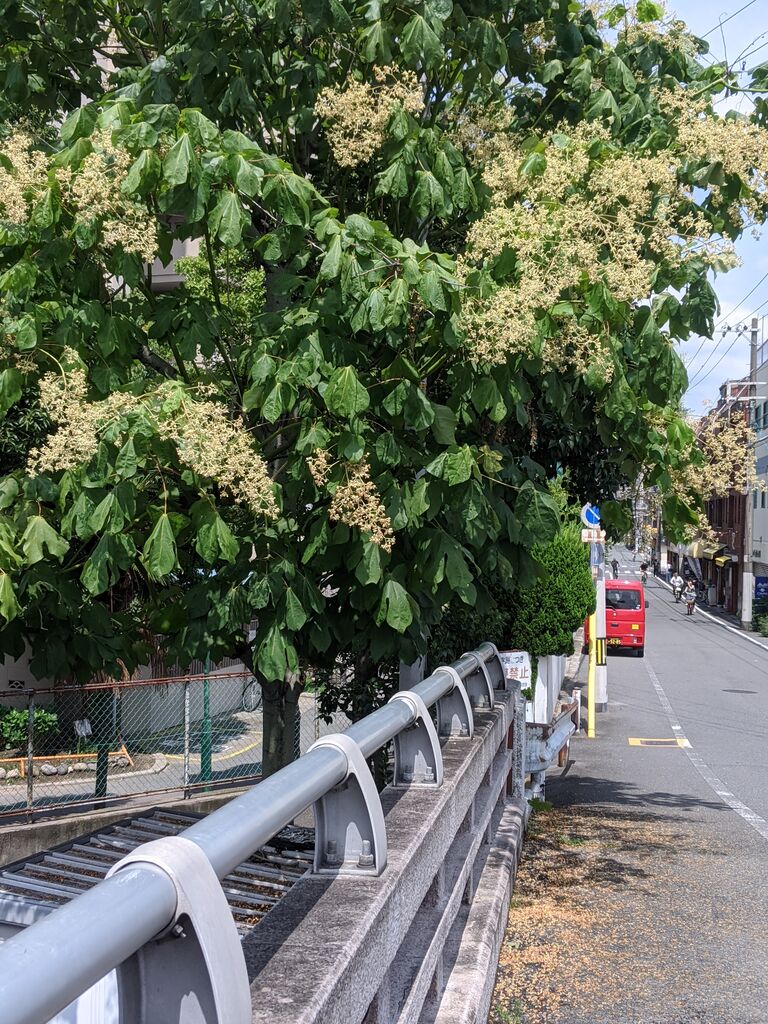 るる散歩 る印日記 るる散歩 る印日記